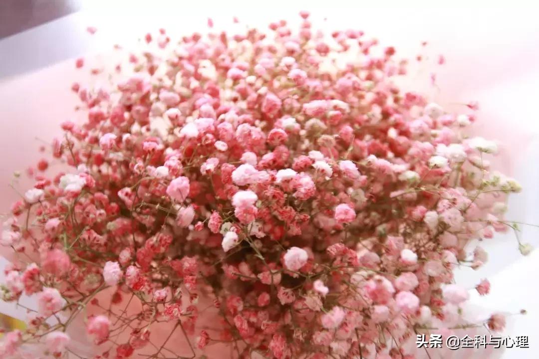 心灵鸡汤的正能量句子短句,心灵鸡汤短句经典正能量句子