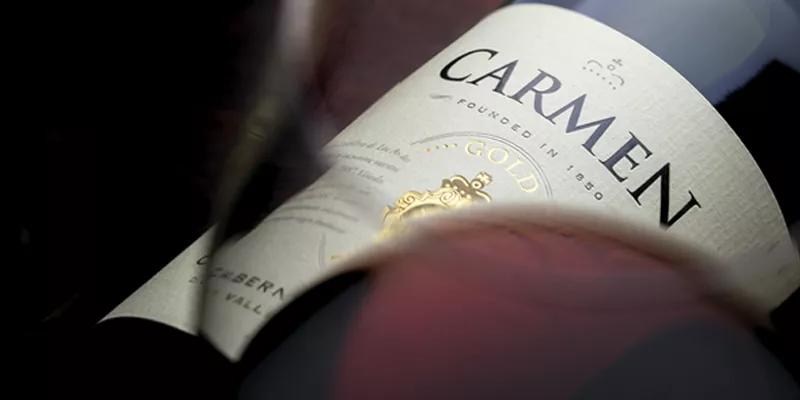 智利18罗汉中性价比最高的,智利十大顶级葡萄酒