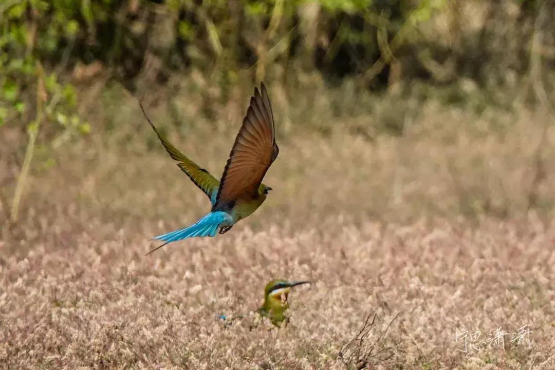 相机对焦技巧教程,相机对焦有哪些方法和技巧
