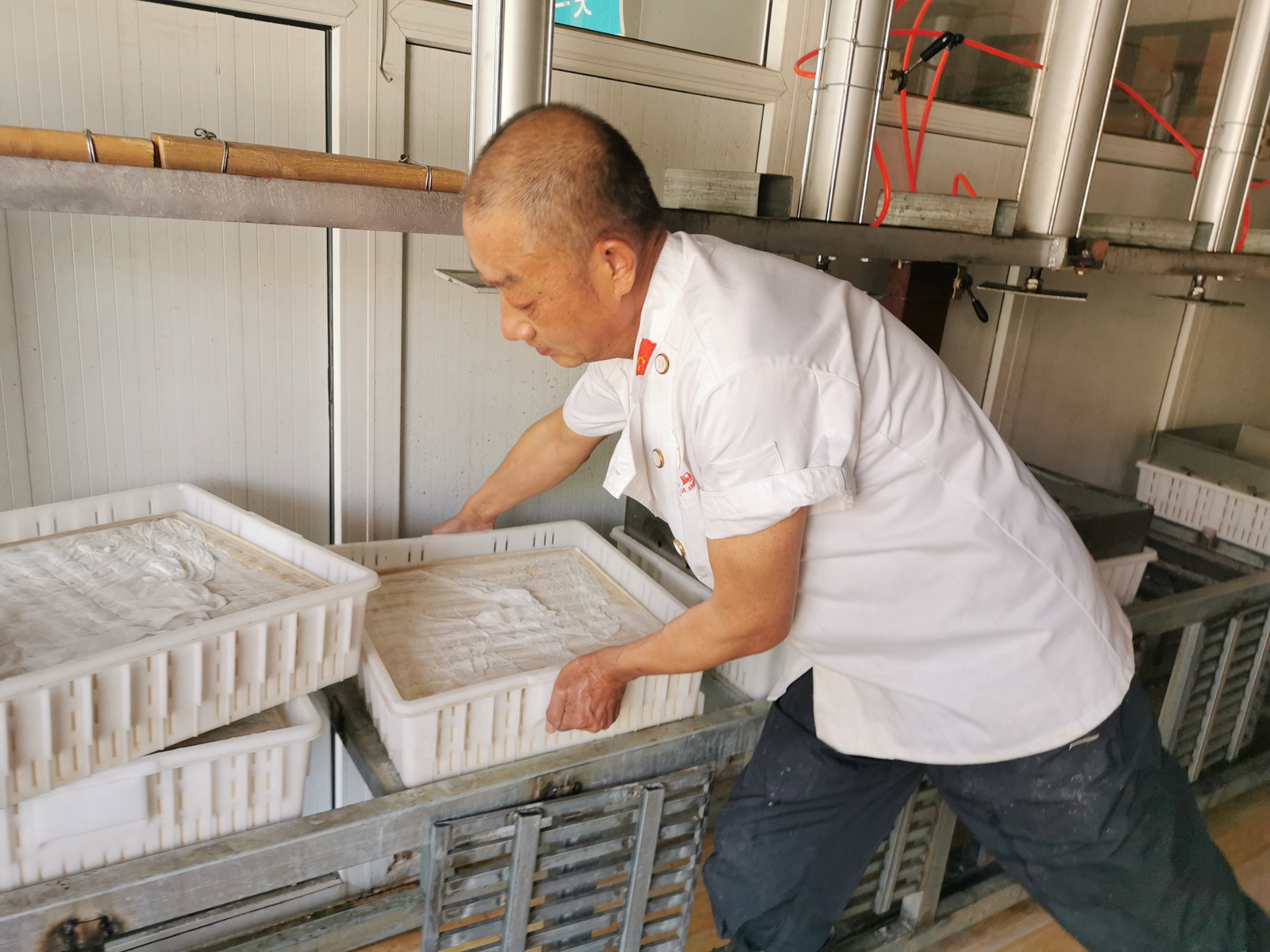 实拍银川一家生意兴隆的榆林豆腐店