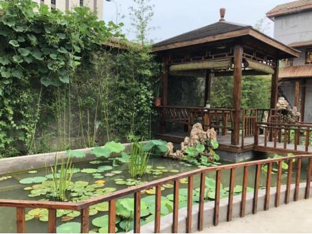 苏式鸟笼制作全过程,天津鸟笼制作方法视频