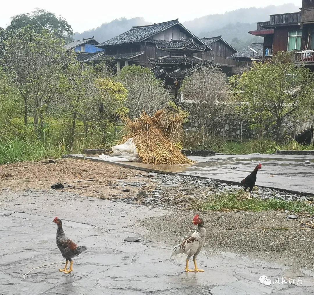 侗寨自由行游记,自驾侗族八寨攻略