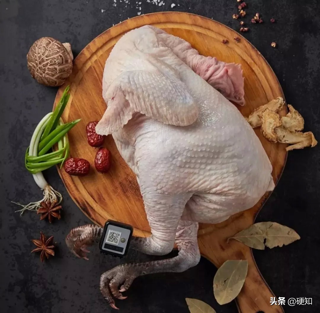 一只母鸡改变自己的命运,一只改变人生命运的猫