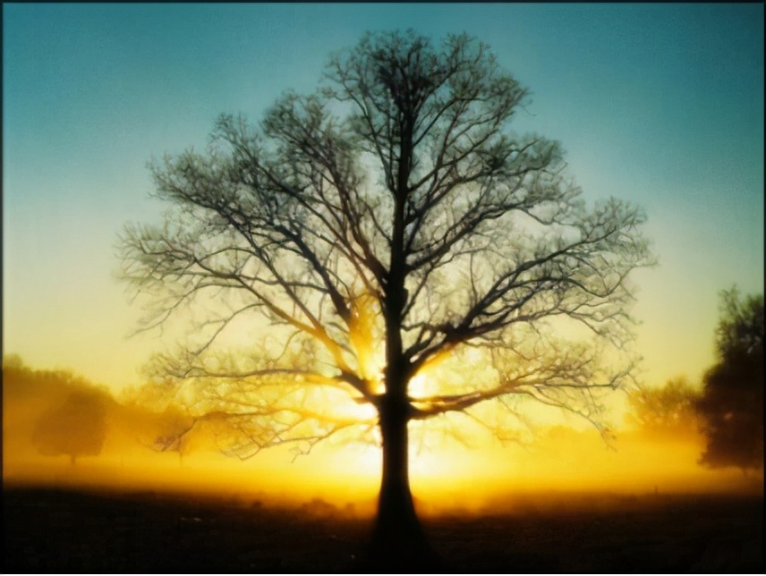 一年级孩子学习不开窍怎么办啊,孩子学习不开窍怎么办最有效果