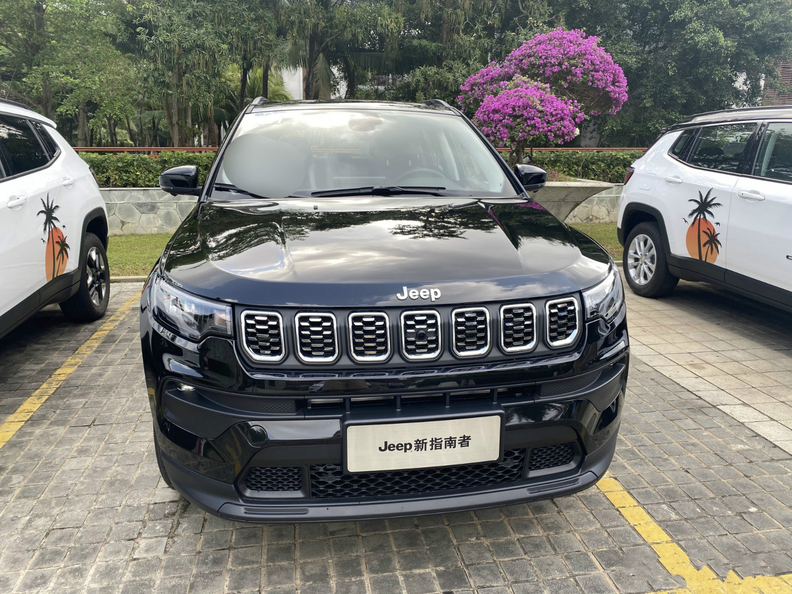 2万多指南者,指南者2万