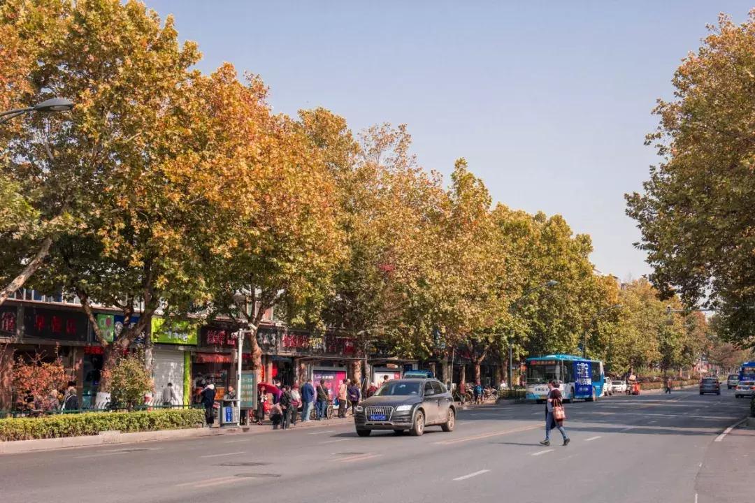 南京板仓街美食龙虾,南京板仓街面馆