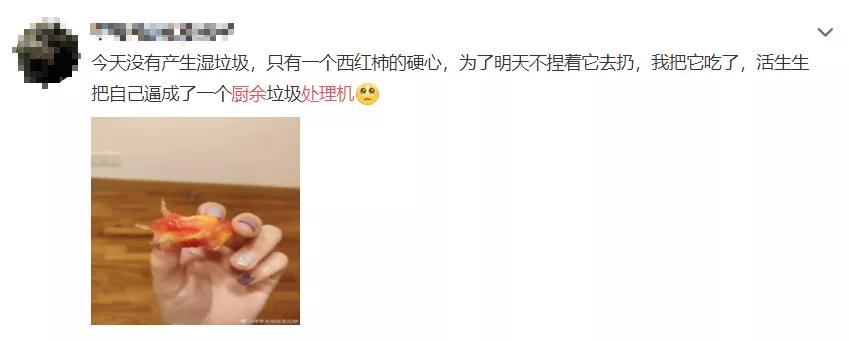 你买的厨余粉碎机，粉碎的只是你的钱包