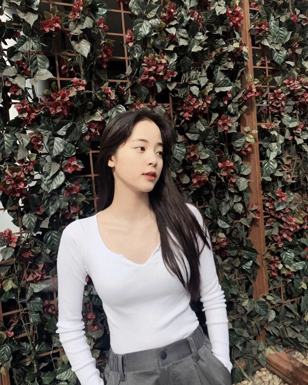 港女星现在的状况,真正的港风女明星