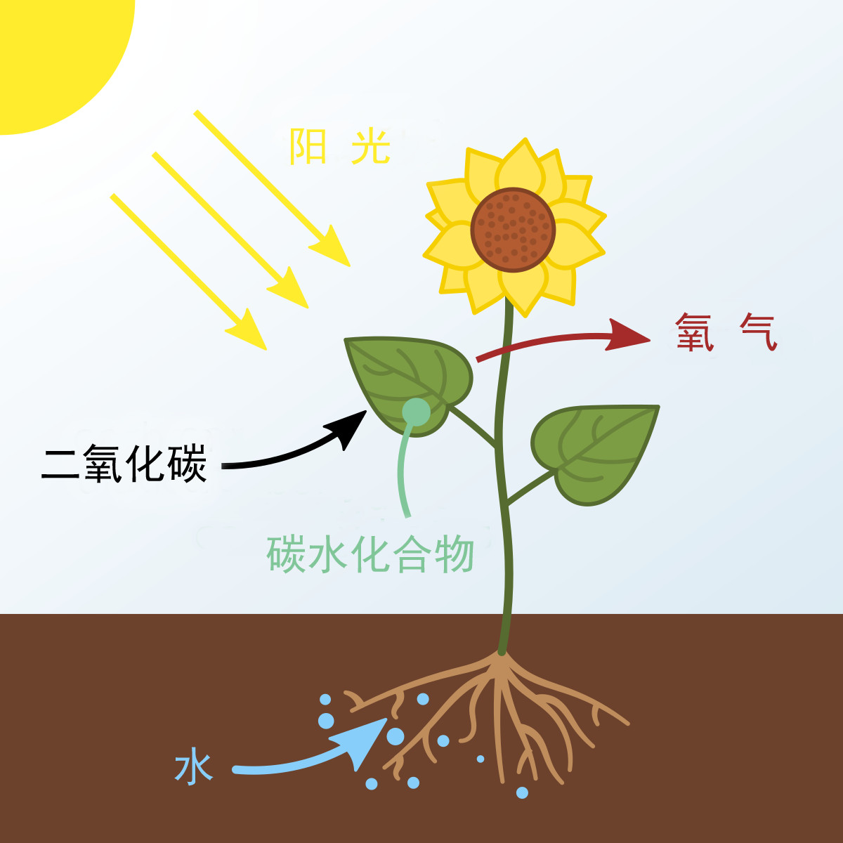 植物灭绝50年后再次出现,植物是如何造成第一次大灭绝的