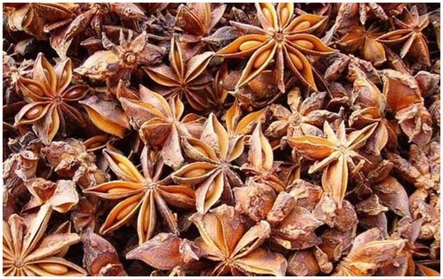 羊肉加哪些香料不膻,红烧羊肉去膻最好的香料