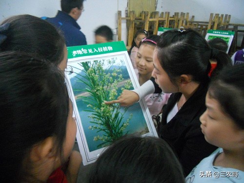 农民致富小本创业项目,适合30岁在家创业的小本生意