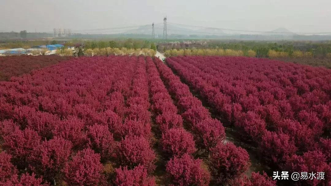 岁月安好，时光静好！愿在易县，与你共赴终老！