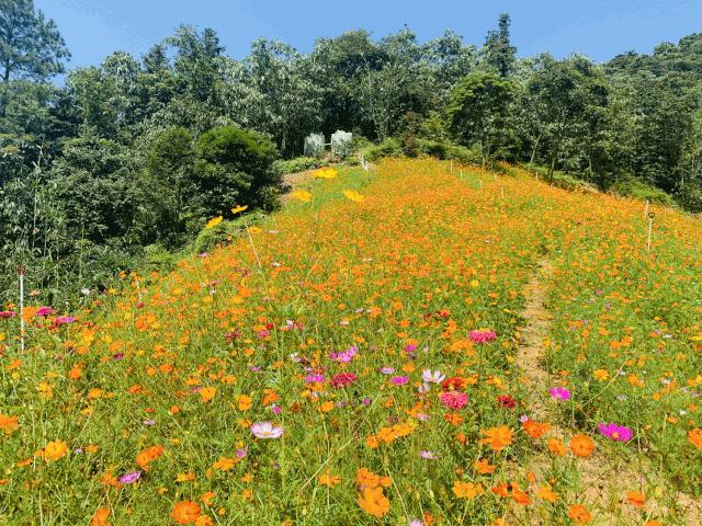 清远七天玩乐,清远一日游最佳景点一览表最新