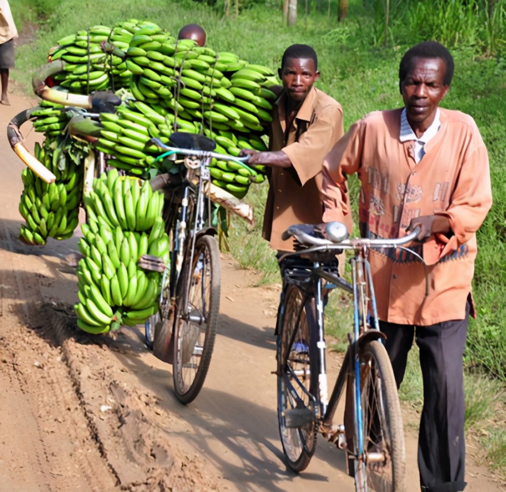 对难民最友好的国家?贫穷但友好,被遗忘的非洲明珠——乌干达
