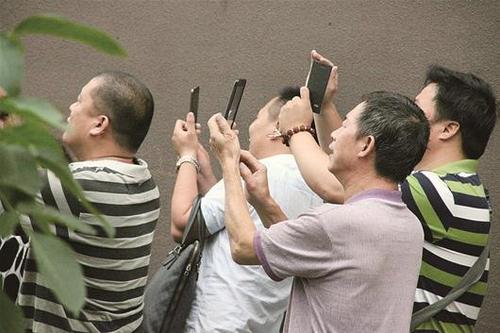 黑羊效应如何自救,如何对待黑羊效应