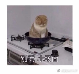 来看!艺术狗留学腐国要看的扫盲帖!