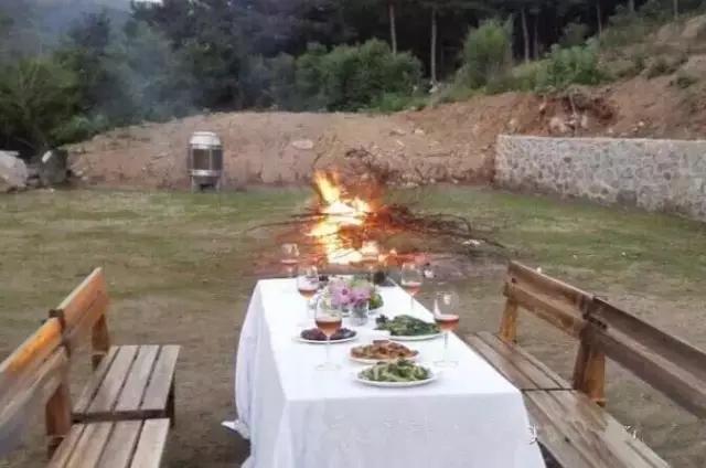 美女放弃高薪去养猪,却开创了“养猪+旅游”新模式