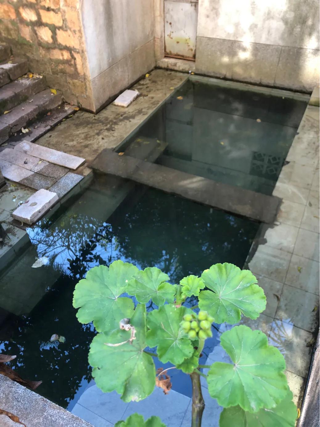 不应该消失京剧完整版,昆四中西山学校