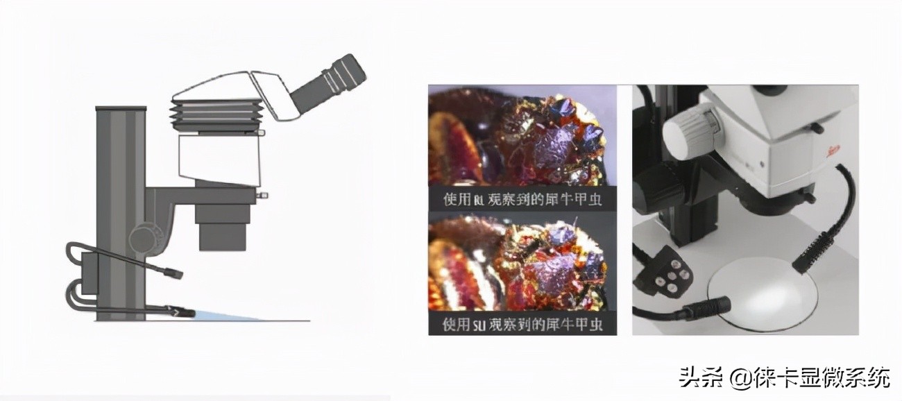 普通金相显微镜和徕卡金相显微镜,徕卡显微镜仪器操作步骤