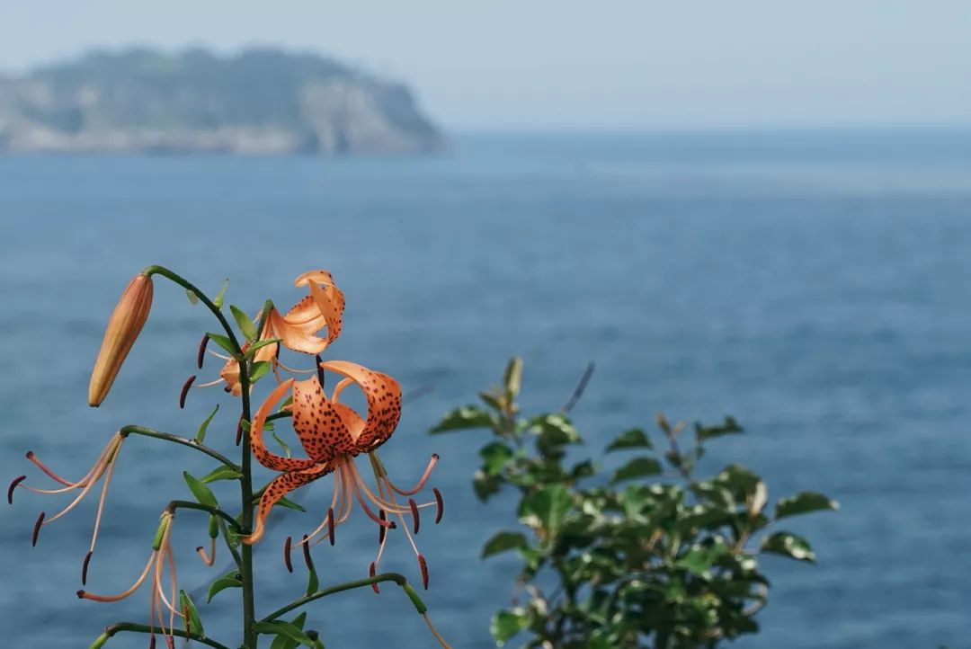 去济州岛吃海鲜贵吗,去韩国吃炸鸡多少钱