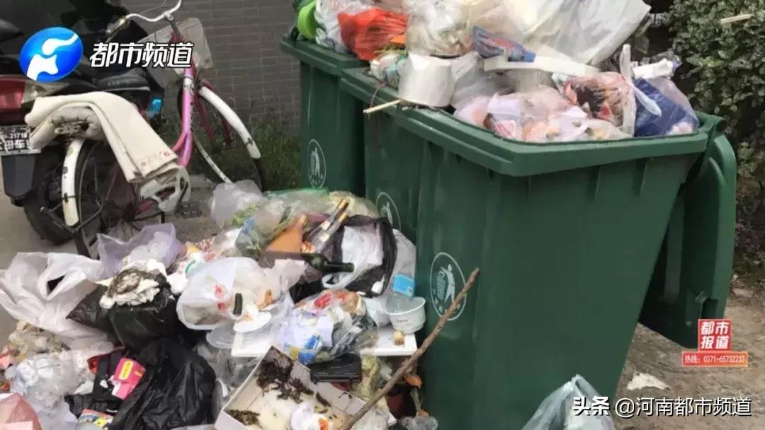 郑州一小区成立业委会有猫腻,郑州一小区业委会