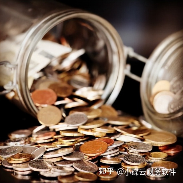 养猪财务用什么财务软件,浪潮财务软件与用友软件区别