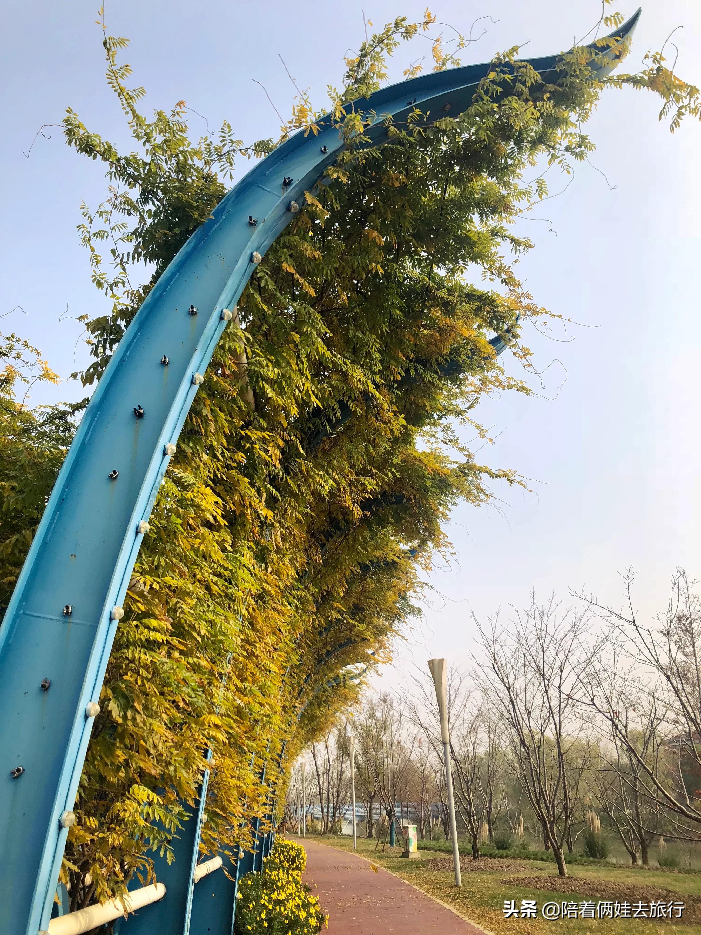 上海浦江郊野公园一日游攻略大全,上海浦江郊野公园奇迹花园地图