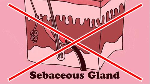 五月空瓶记免费阅读,5月的空瓶