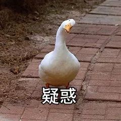 扒皮高考神秘人李华，他究竟是不是李雷韩梅梅的私生子？