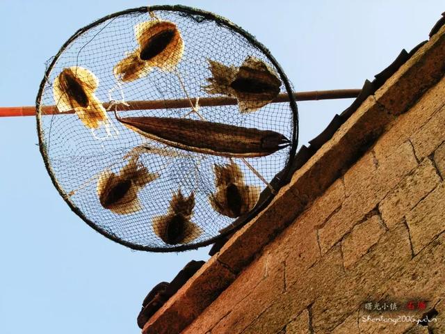 浙江宁波小众景点,浙江省宁波市黄金海岸