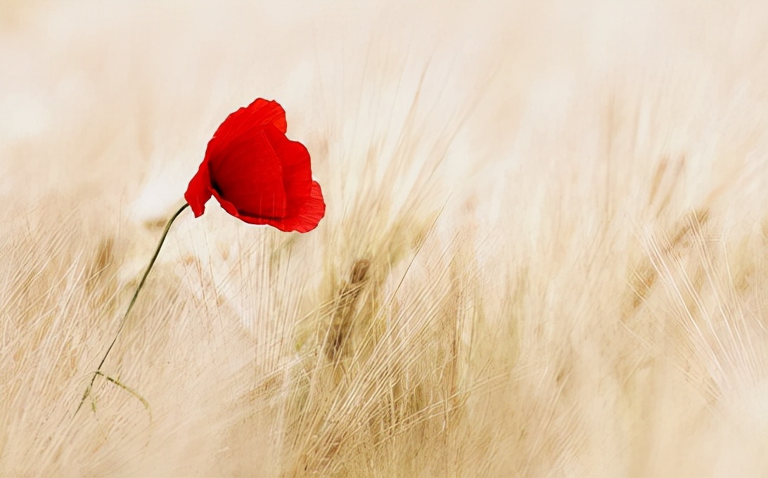 维系异地恋感情长久的最好方式,异地恋该怎么维系感情