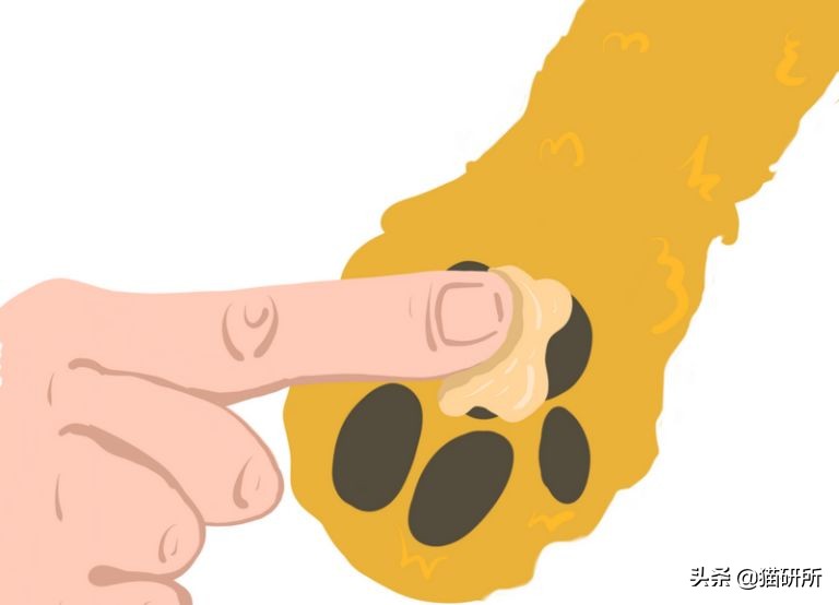 猫咪爪垫干裂可以涂什么,猫咪爪垫开裂用什么护爪霜
