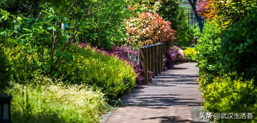 武汉十大富人区是哪几个,武汉十大富人区在哪