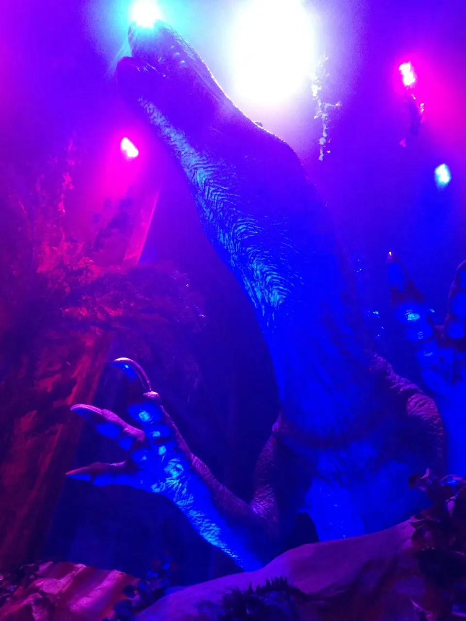 广州长隆野生动物世界游记300字,广州长隆野生动物园游记