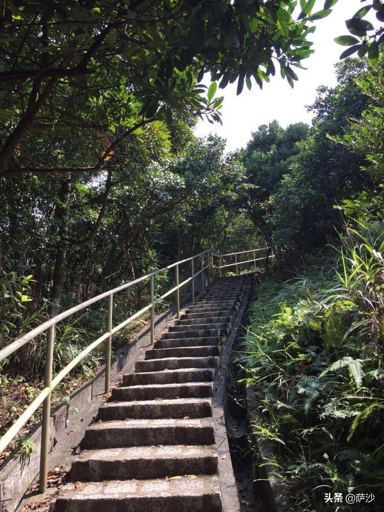 疯子杀女孩的新闻,疯子杀女大学生