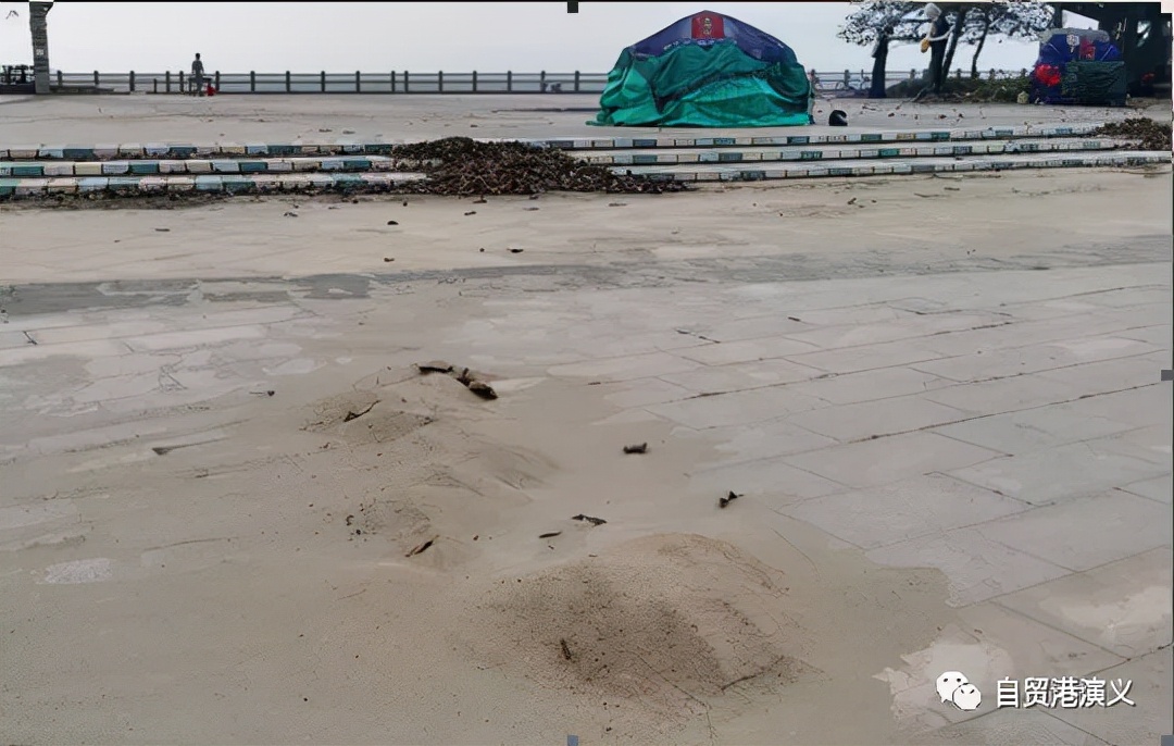 恒大美丽沙最新真实消息现状,恒大美丽沙降价了吗