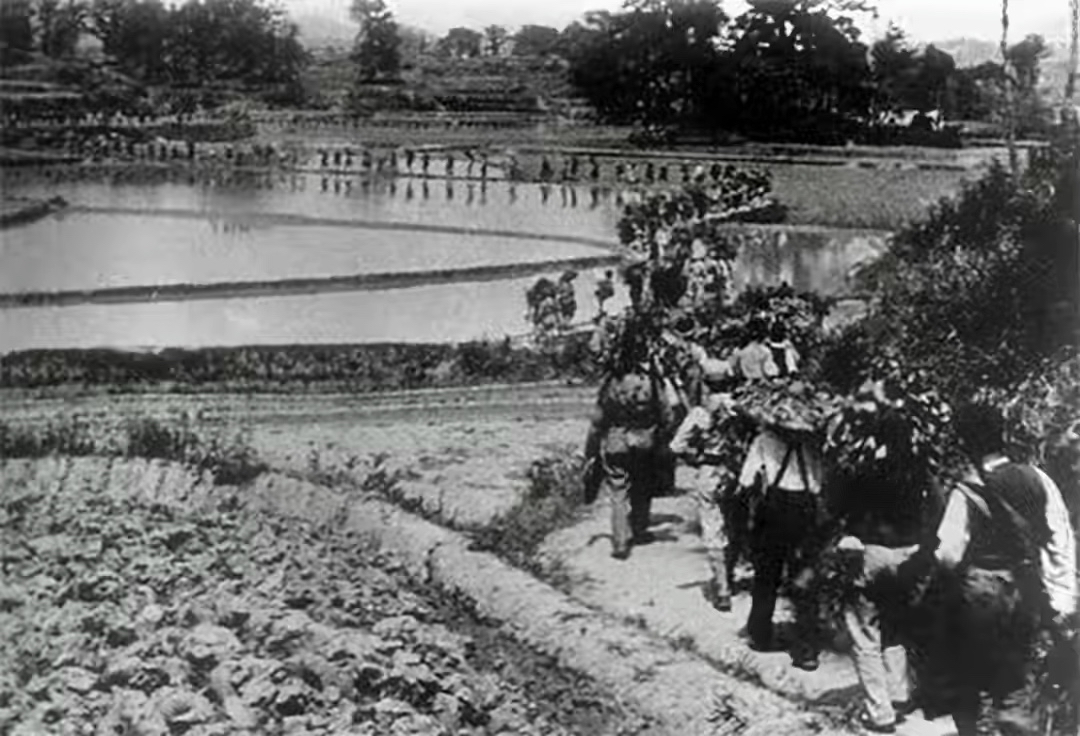 开国中将历任两大军区政委，主席南下两次与他谈话，后被免职降级