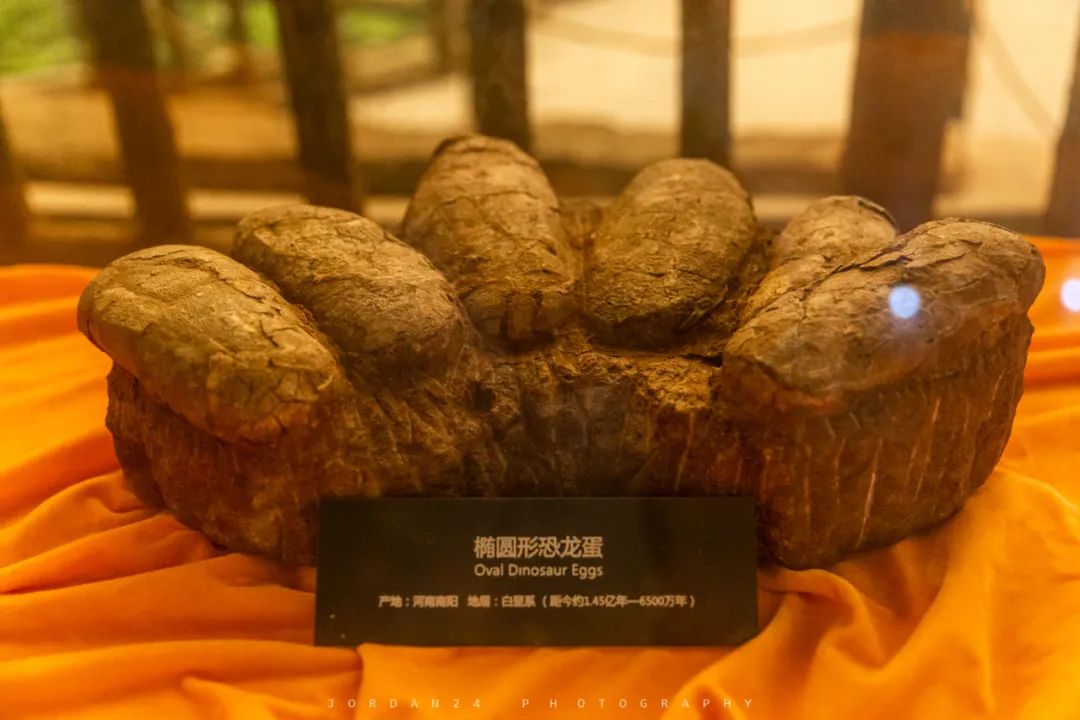 綦江城区游,重庆綦江区旅游