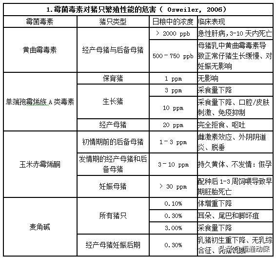 霉菌毒素对母猪造成哪些危害,母猪带毒的危害以及解决措施