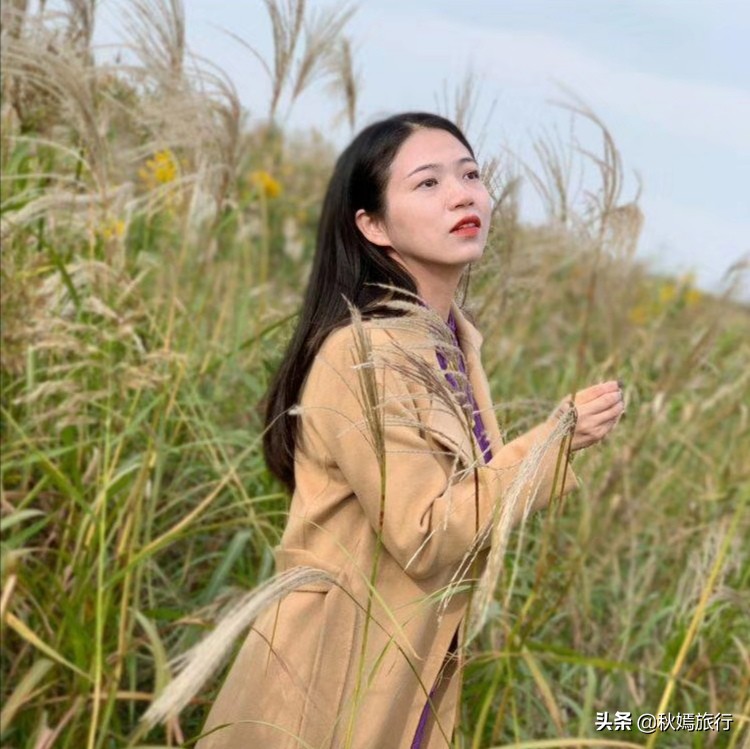 这座华东地区最大的湿地公园,拥有一千多亩芦苇荡,游客络绎不绝