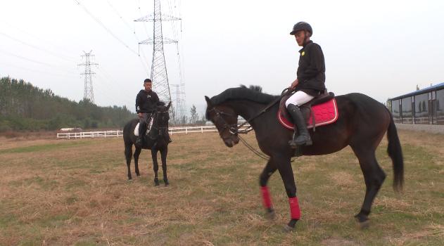 大学体育选修课有哪些,大学体育选修课