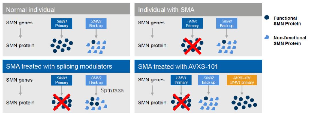 基因药物,基因免疫药物