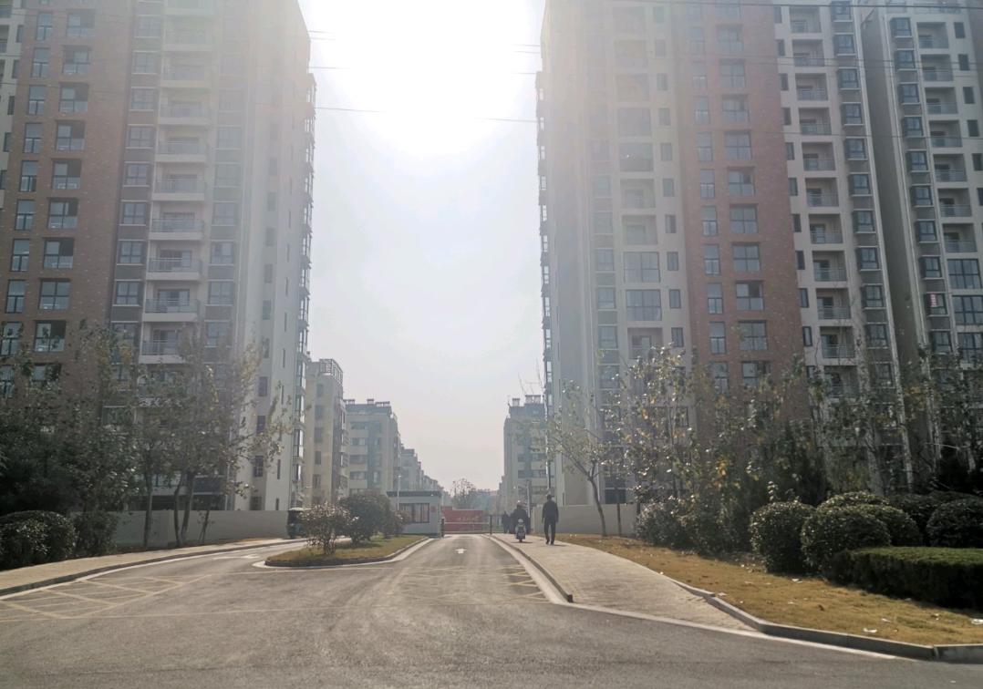 宋跳前景,宋跳有发展吗