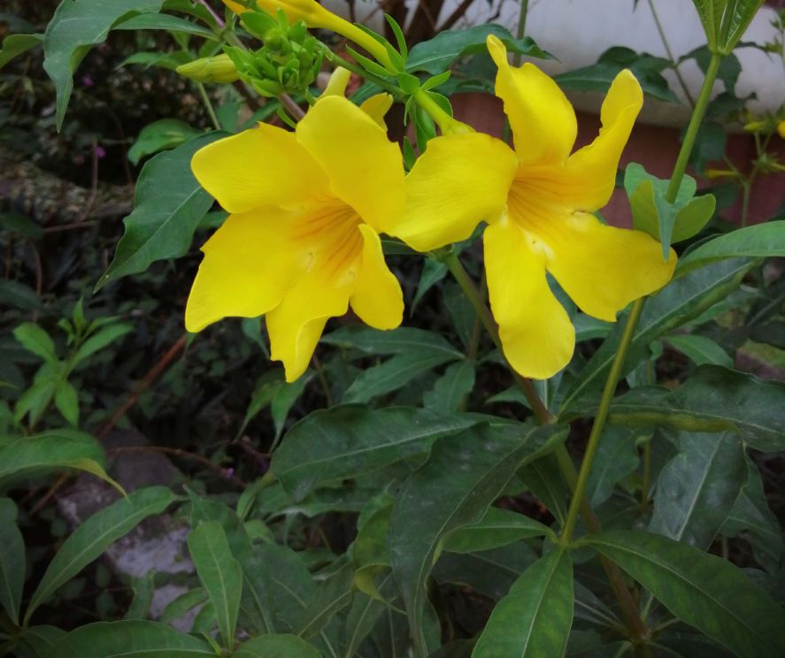 真爱遇到了是庆幸遇不到也正常,真爱难遇到错过了会遗憾一生