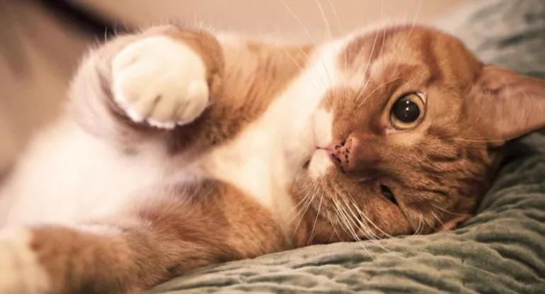 友情的尽头是孤独,一段渐行渐远的友情