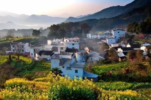 全国油菜花时间表,3月份哪里的油菜花最美