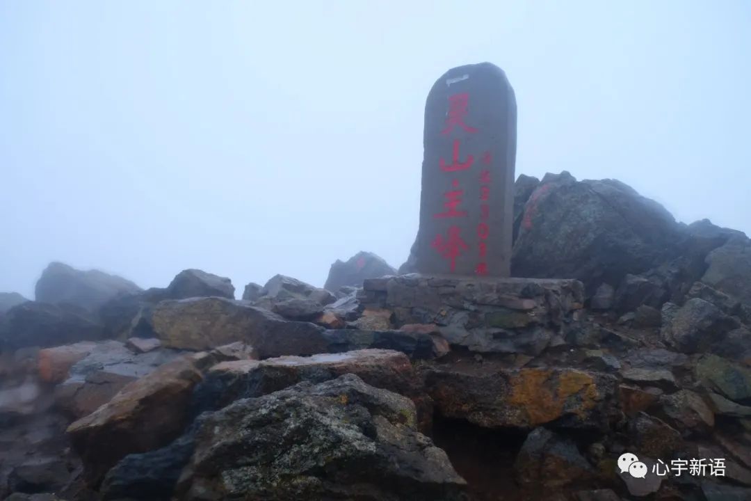 惊魂旅行遇险记,惊魂式教科书自救