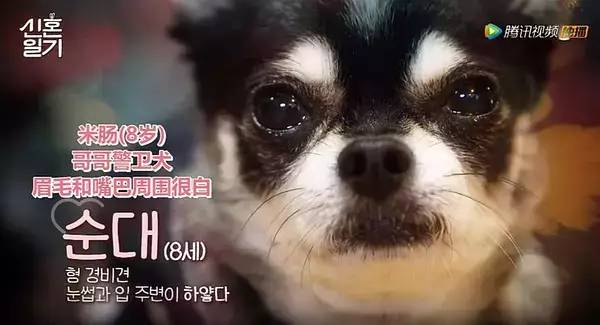 李现和杨紫的cp超话,比杨紫小的明星cp