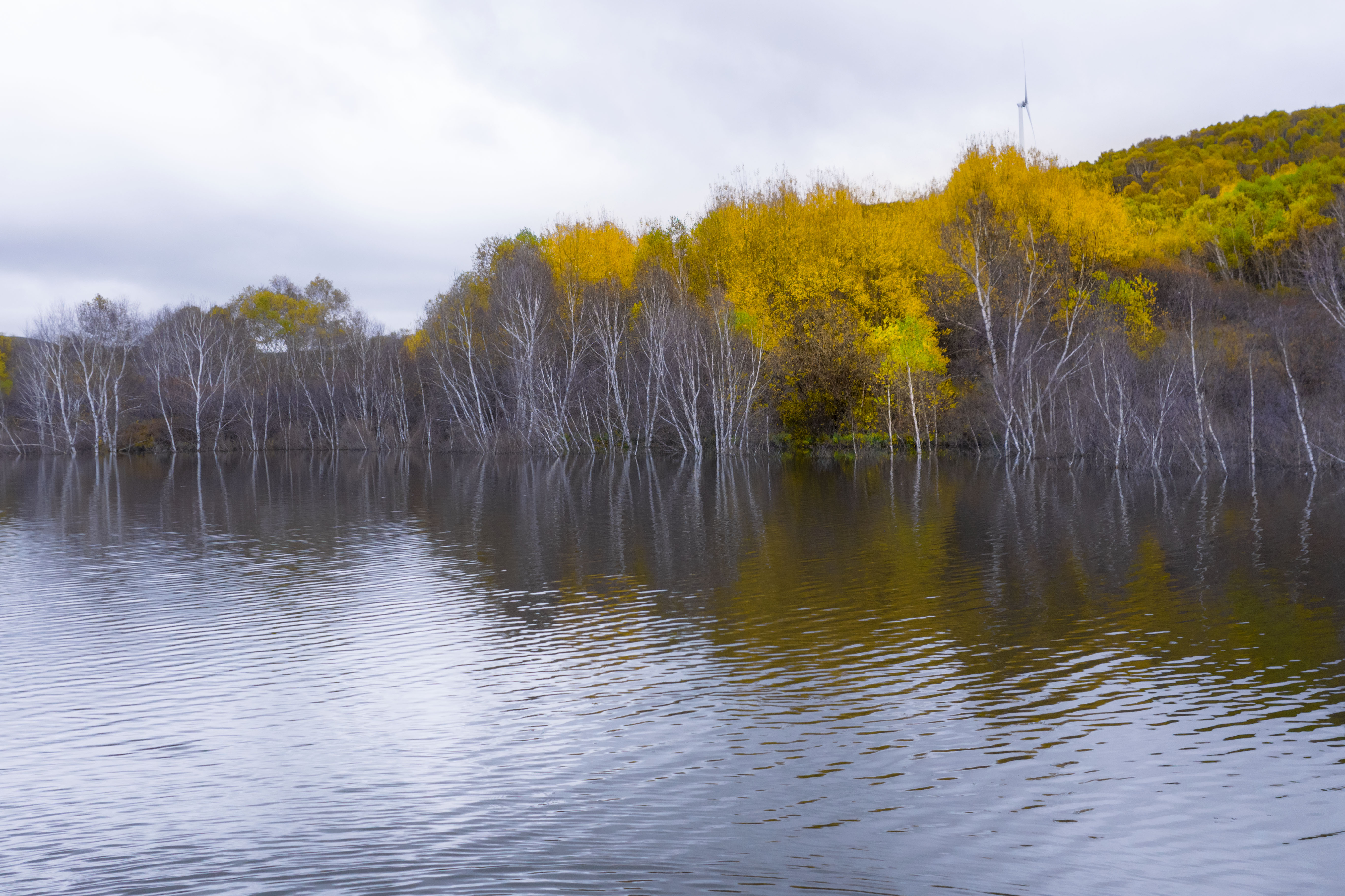 丰宁神仙谷七彩森林景区地图,丰宁坝上七彩森林游玩攻略