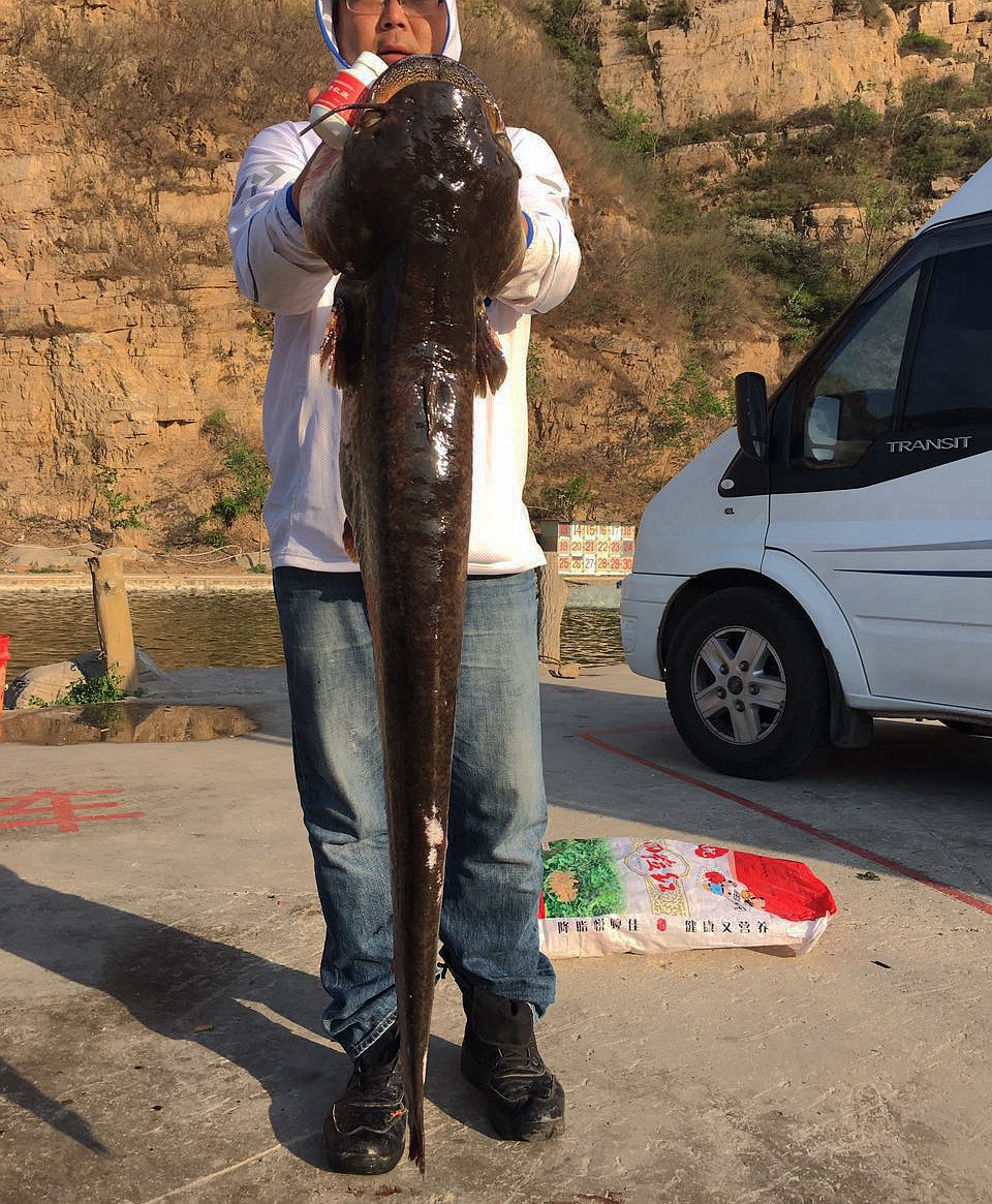 辟谣关于鱼线的几大谣言,鱼线线号大小对上鱼有影响吗